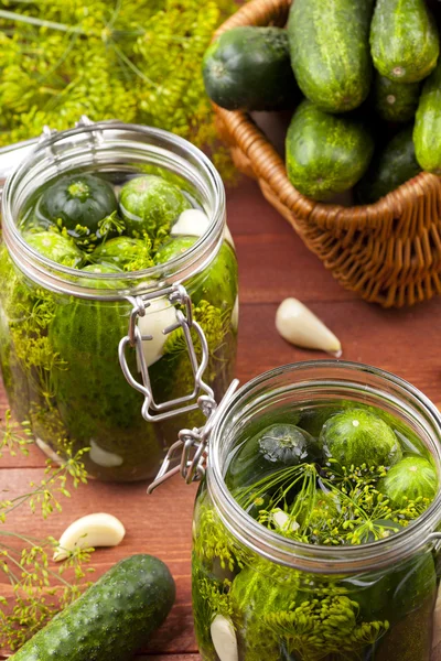 Homemade pickles in brine with garlic, dill and horseradish — Stock Photo, Image