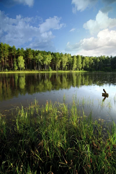 Kashubian järvi iltapäivällä aurinko — kuvapankkivalokuva