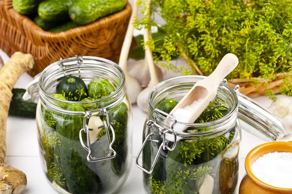 Homemade pickles in brine with garlic, dill and horseradish — Stock Photo, Image