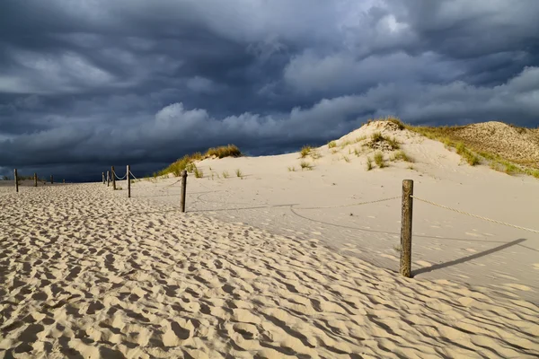 Αμμοθίνες στην ακτή της Βαλτικής το πρωί — Φωτογραφία Αρχείου