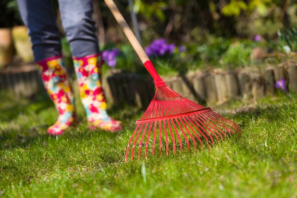 Garden cleaning. Ripening leaves in the spring. Red rakes to the leaves.