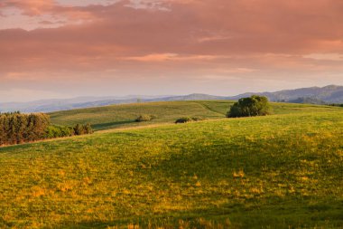 Pieniny Dağları 'nın güzel manzarası. Polonya.