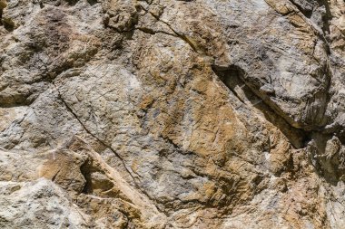 Kaya arka planı. Rock i Pieniny, Polonya. Kapat.. 