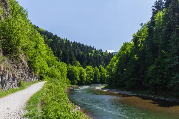 The turn of the river Dunajec in Pieniny, Poland and Slovakia