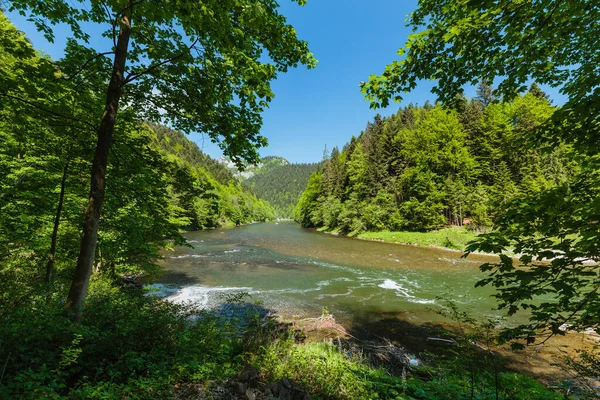 The turn of the river Dunajec in Pieniny, Poland and Slovakia