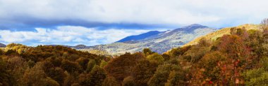 Bieszczady Dağları 'nın güzel manzarası. Polonya.