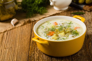 Geleneksel salatalık çorbası ve salatalık turşusu. Ön görünüm.