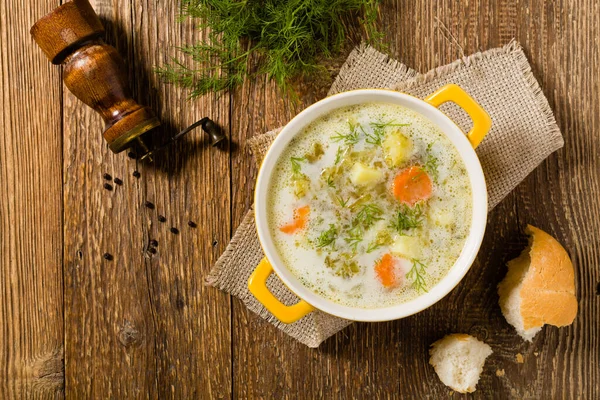 Soupe Concombre Traditionnelle Avec Des Concombres Marinés Vue Dessus — Photo