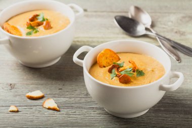 Lezzetli çorba, mantarlı krema. Ön görünüm