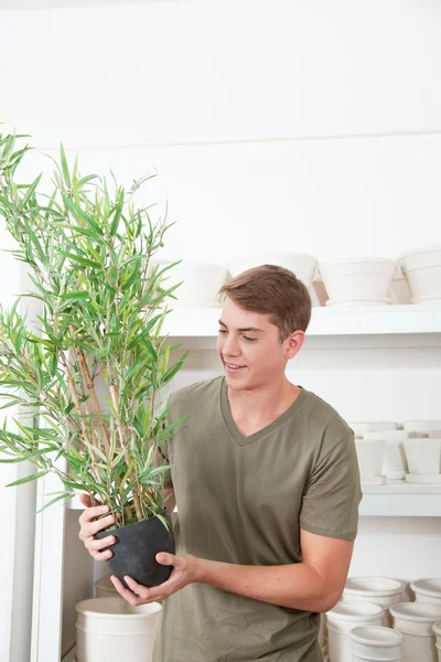 Mann hält Pflanze in der Hand — Stockfoto