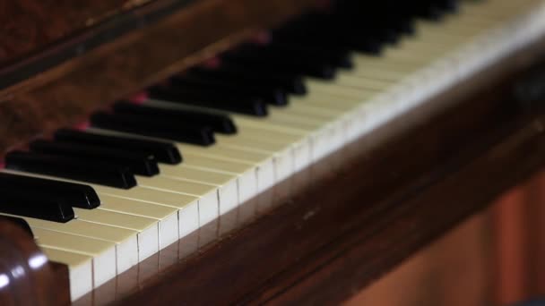 Mãos de pianista tocando — Vídeo de Stock