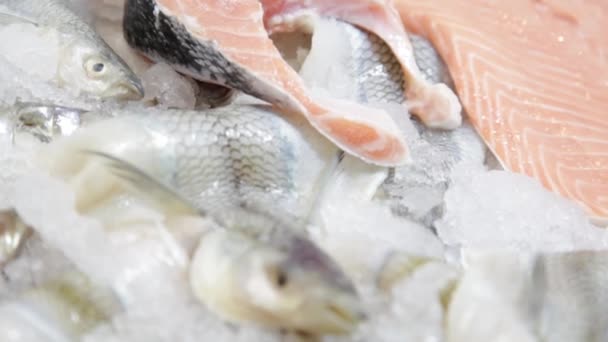 Der Fisch auf Eis im Laden — Stockvideo