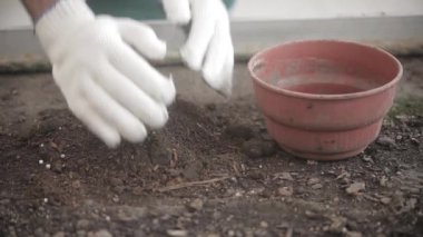 toprak bir kaba koyarak adam