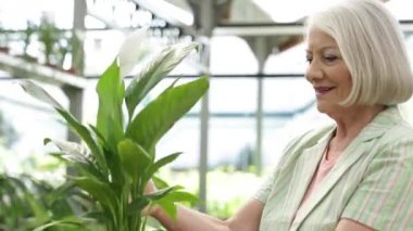  bitkiler arayan kadın 