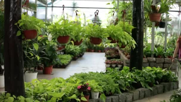 Mädchen mit Frau kauft Pflanzen — Stockvideo
