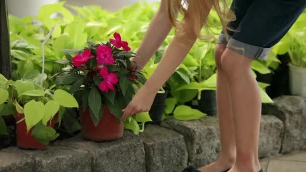 Menina com mulher comprando plantas — Vídeo de Stock