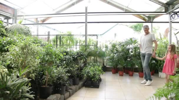 Vader kijken planten — Stockvideo