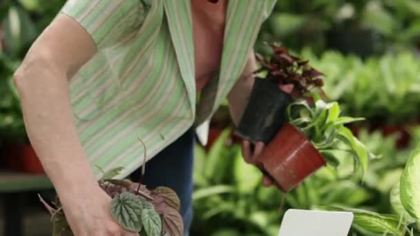 Женщина ищет растения — стоковое видео