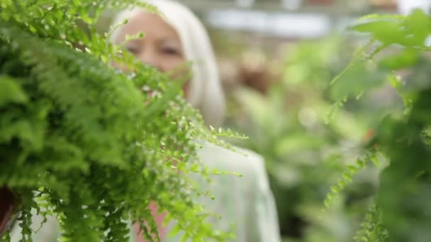 Vrouw op zoek planten — Stockvideo