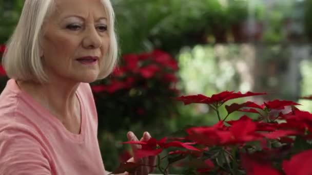 Жінка дивиться рослин — стокове відео