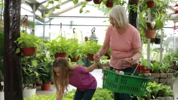 Mädchen mit Frau kauft Pflanzen — Stockvideo