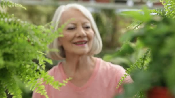 Žena nákupu rostlin — Stock video
