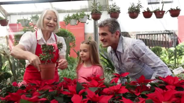 Man med barn köper växter — Stockvideo