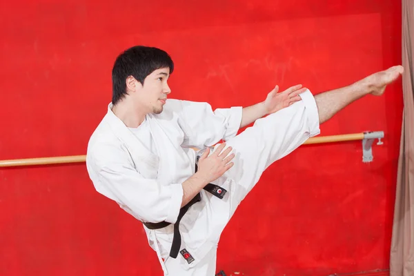 Férfi gyakorló karate — Stock Fotó