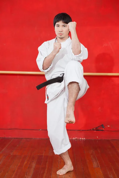 Férfi gyakorló karate — Stock Fotó