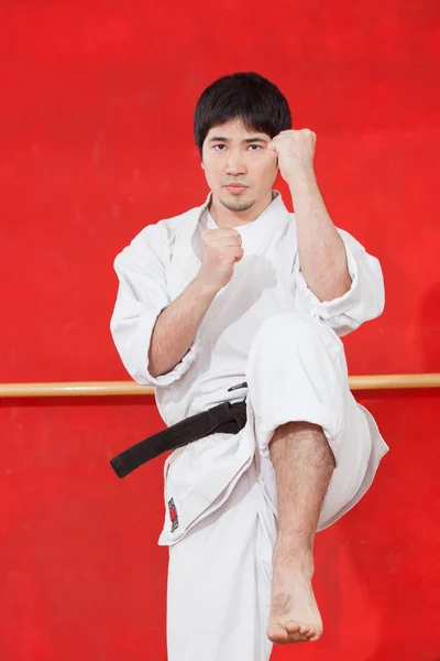 Karate pratik adam — Stok fotoğraf