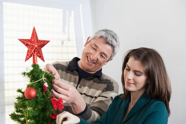 Couple putting together the christmas tree — Stock Photo, Image