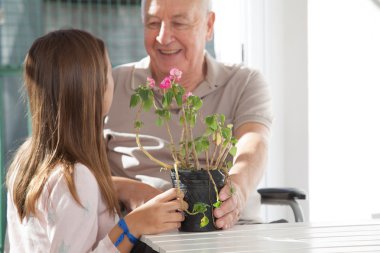 Grandfather and Granddaugther with flowers clipart