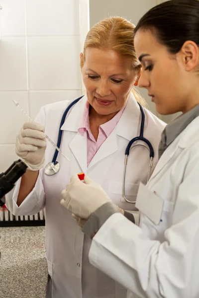 Couple working in the lab — 图库照片