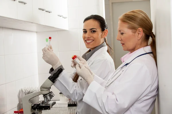 Partners working in  lab — Stockfoto