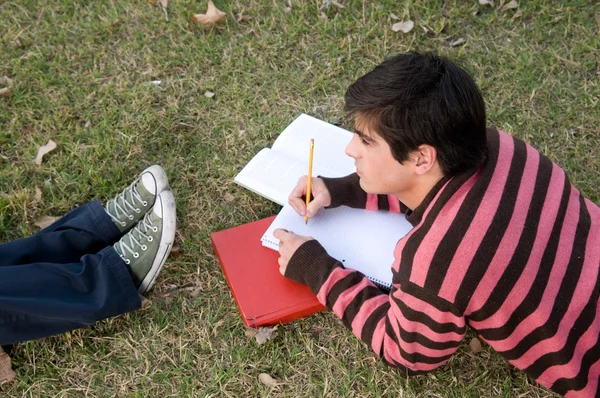 Mann liegt im Gras und studiert — Stockfoto