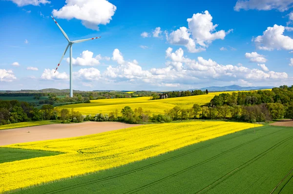 Väderkvarn på fältet raps — Stockfoto