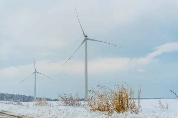 Mulino a vento sul campo in inverno — Foto Stock