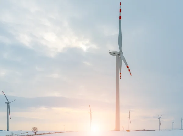 Pôr do sol acima do moinho de vento no campo no inverno — Fotografia de Stock