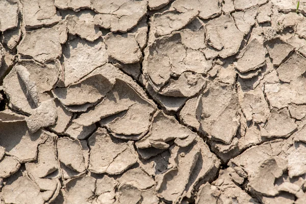 Scorched cracked earth — Stock Photo, Image