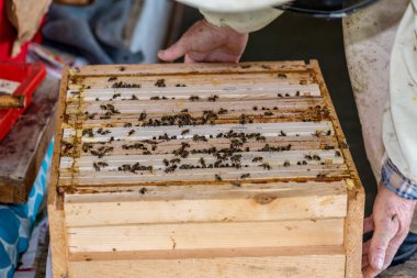 Arı kovanı kontrol arıcı