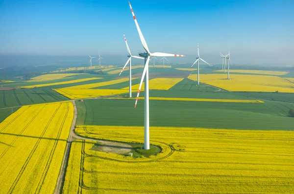 Molinos de viento en el campo — Foto de Stock