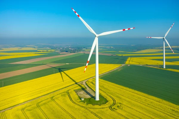 Molinos de viento en el campo — Foto de Stock