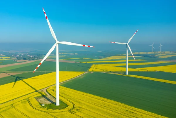 Windmills on the field — Stock Photo, Image