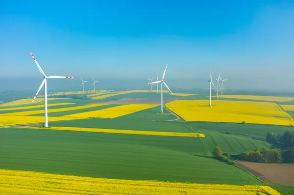 Molinos de viento en el campo — Foto de Stock