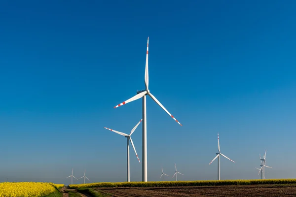 Molinos de viento en el campo de violación — Foto de Stock