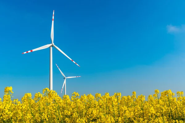 Větrné elektrárny na poli znásilnění — Stock fotografie