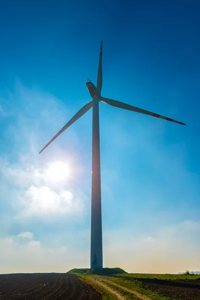 Puesta de sol sobre el molino de viento en el campo de violación — Foto de Stock