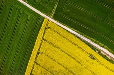 Kolza alan havadan görünümü