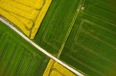 Kolza alan havadan görünümü