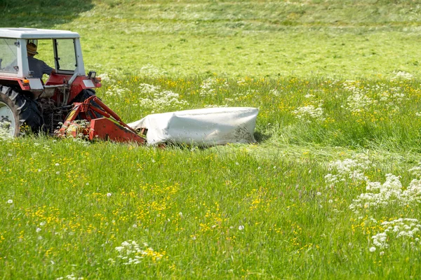 Il trattore che muove l'erba sul campo — Foto Stock